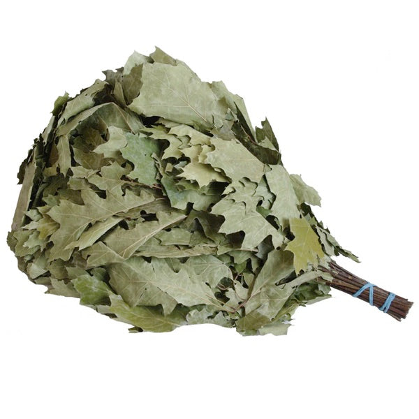 Saunaquast Eiche | Saunareisig Eiche