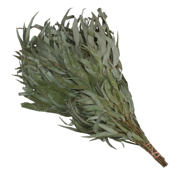 Eukalyptusquast | Saunareisig | Wenik