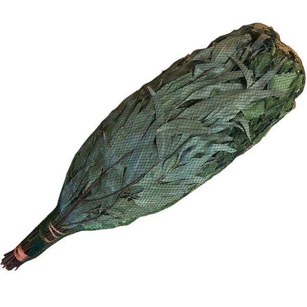 Birke Eukalyptus Quast Reisig für die Sauna. Eukalptus-Quast für Ihren Aufguss und eine gute Massage entspannt und beruhigt die Muskulatur, regt den Kreislauf an, hilft bei Schmerzen.