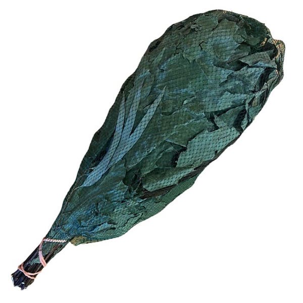 Eiche Eukalyptus Quast | Sauna Reisig für die Sauna. Eukalptus-Quast für Ihren Aufguss und eine gute Massage entspannt und beruhigt die Muskulatur, regt den Kreislauf an, hilft bei Schmerzen.