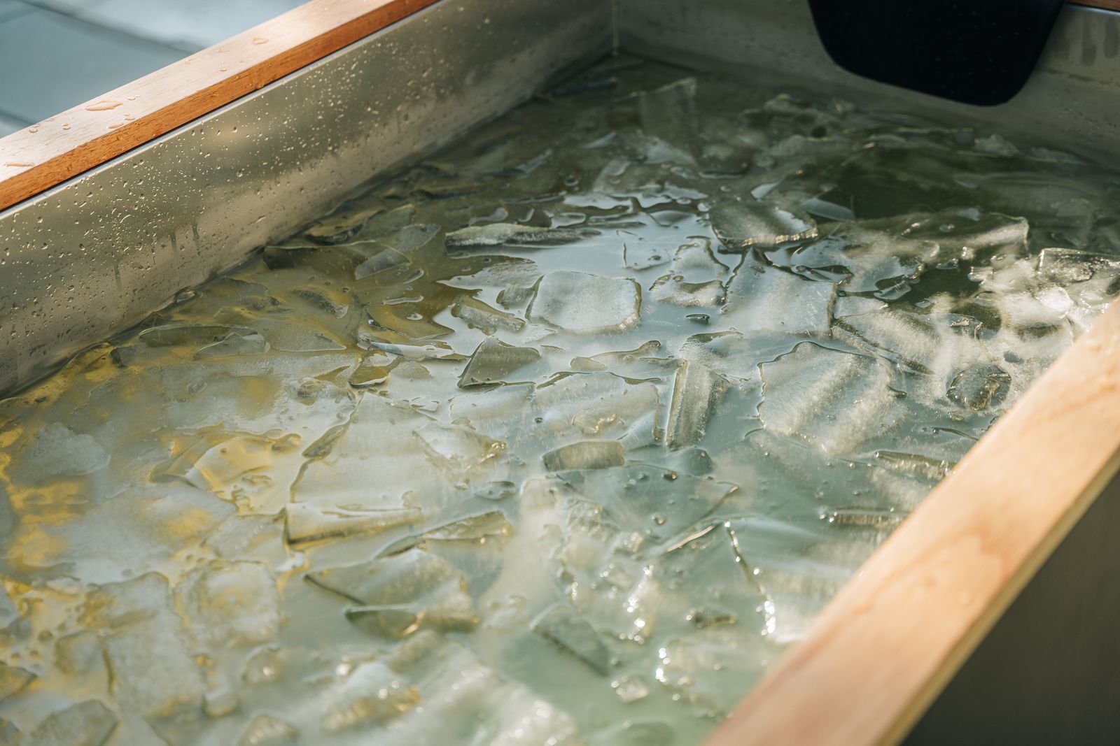 Winthera IcePro Eisbad